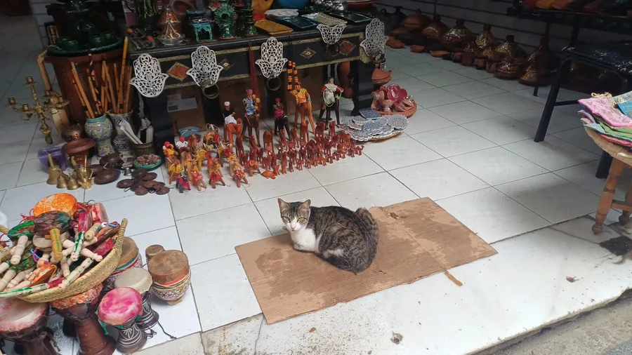 Lidé se tu neradi nechávají fotit...a fotit děti zakazují..zato psi a kočky nic nenamítají